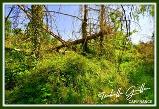  Terrain � vendre 24565 m�