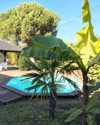  Maison à vendre 5 pièces 90 m²
