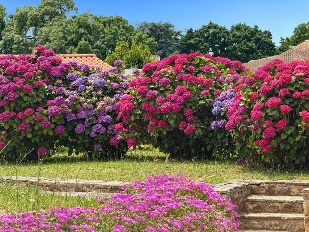 Vente Maison Dpt Loire Atlantique (44), à vendre CENTRE SAINT PERE EN RETZ EN IMPASSE, MAISON 8 PIECES - 5 CHAMBRES - JARDIN CLOS TERRASSE Saint pere en retz
