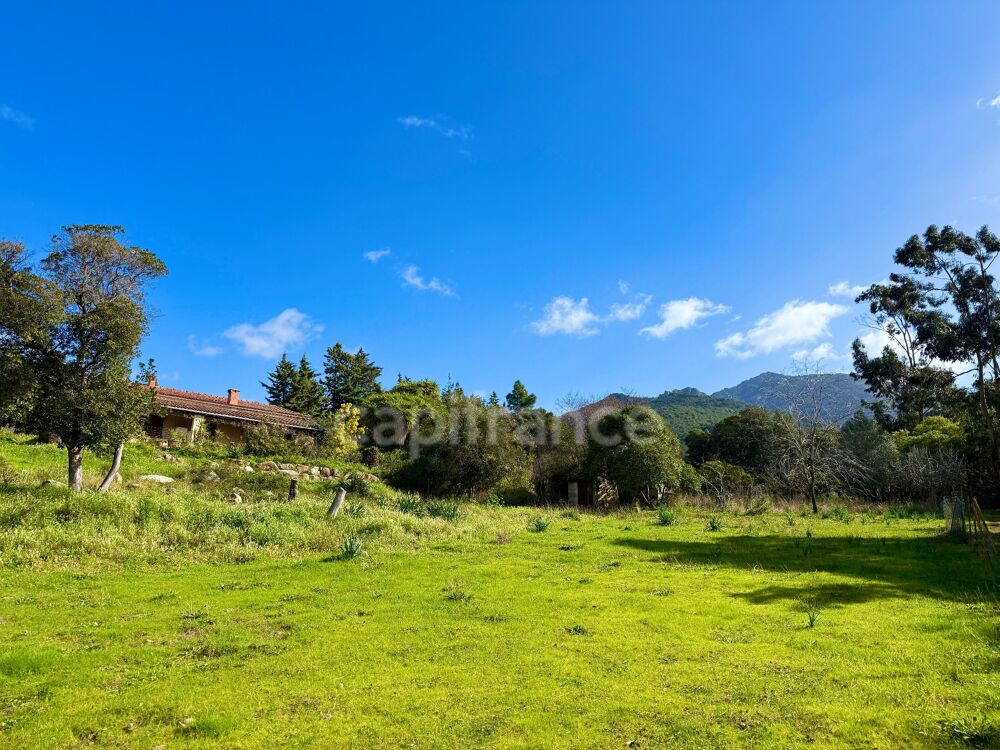 Vente Propriété/Château SAGONE (Corse) : Propriete à vendre, maison T4 + dépendance avec 2 appartements T1, sur terrain plat de 5000m2 Sagone