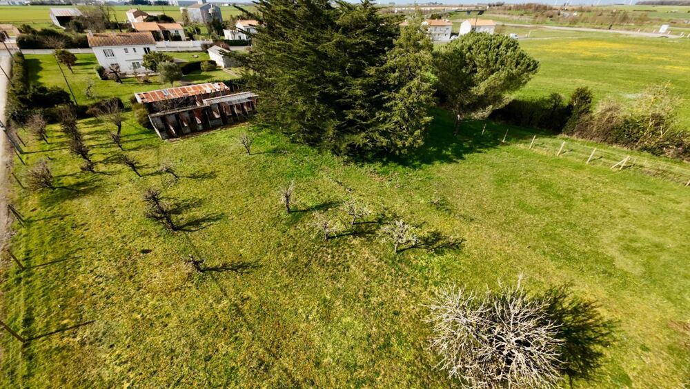Vente Terrain LUCON (85) EXCEPTIONNEL ET RARE TERRAIN CONSTRUCTIBLE 2239 M²+760 M² A VIABILISER ET HORS LOTISSEMENT Lucon