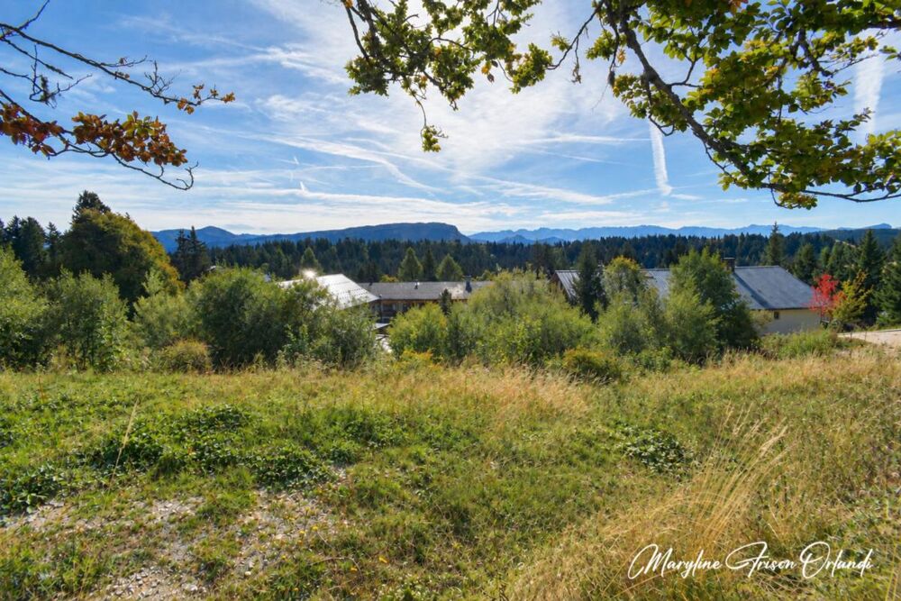 Vente Terrain LE REVARD – TERRAIN À BÂTIR DE 985 M² AVEC VUE PANORAMIQUE SUR LES BAUGES Les deserts
