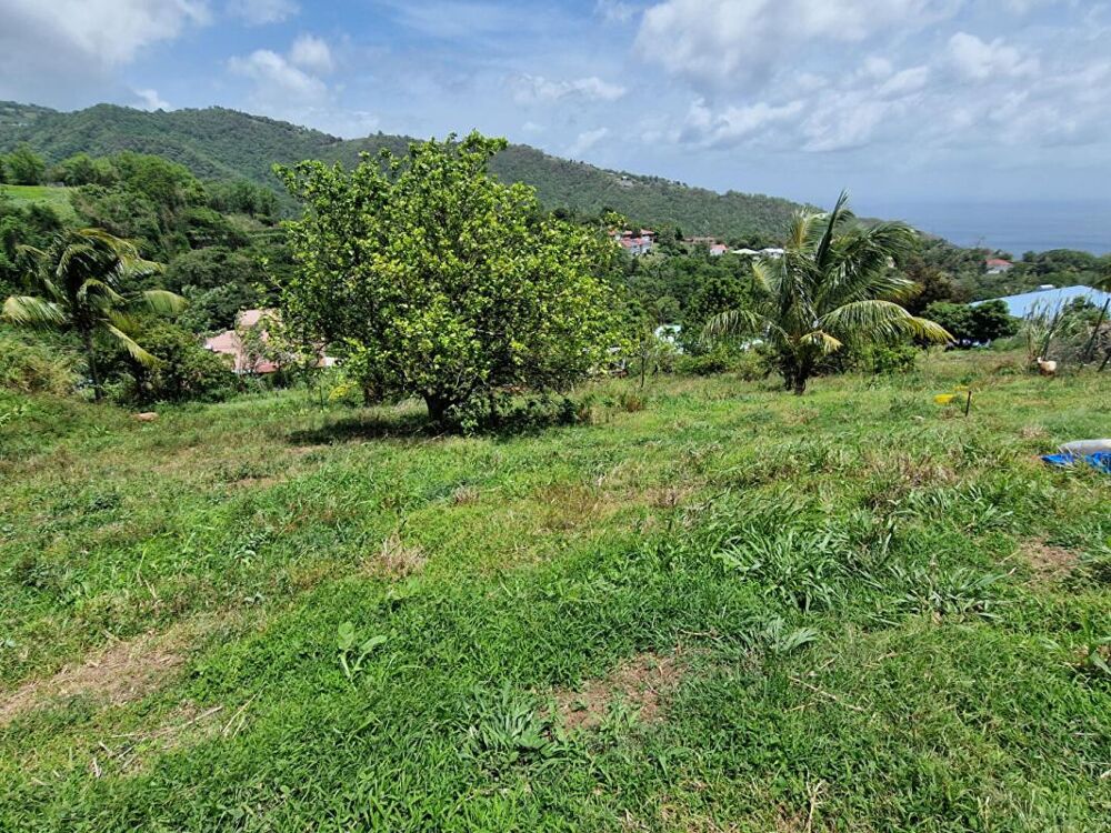 Vente Terrain Terrain Le Morne Vert Le morne vert