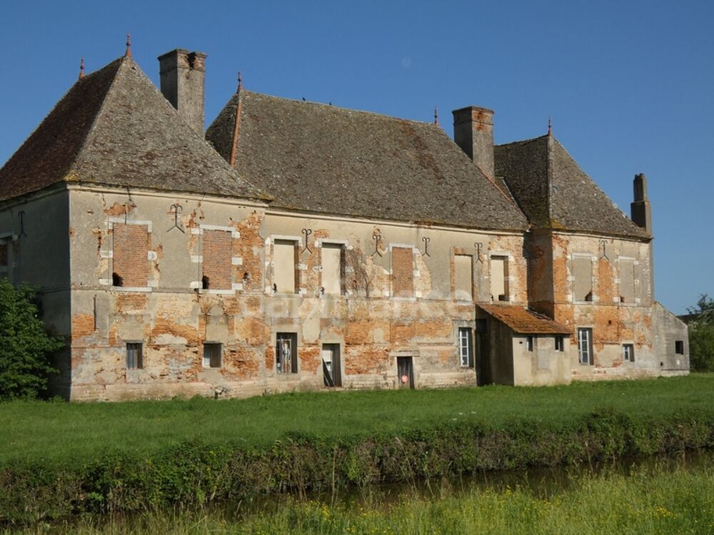 Vente Propriété/Château Château du XVIe Siècle au coeur de la Bourgogne à Restaurer - Idéal pour Investisseurs Serrigny en bresse