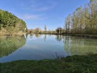  Terrain à vendre 11000 m²