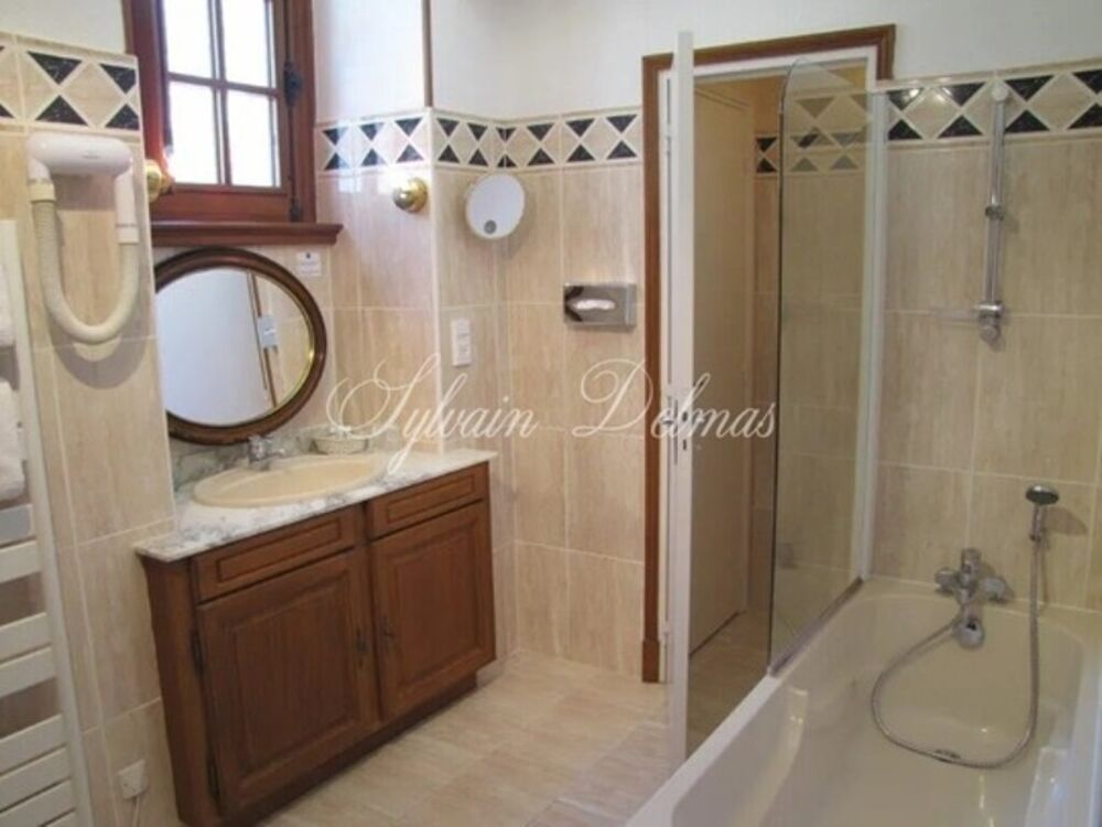 � vendre  Propri�t�/ch�teau Amboise (37400)