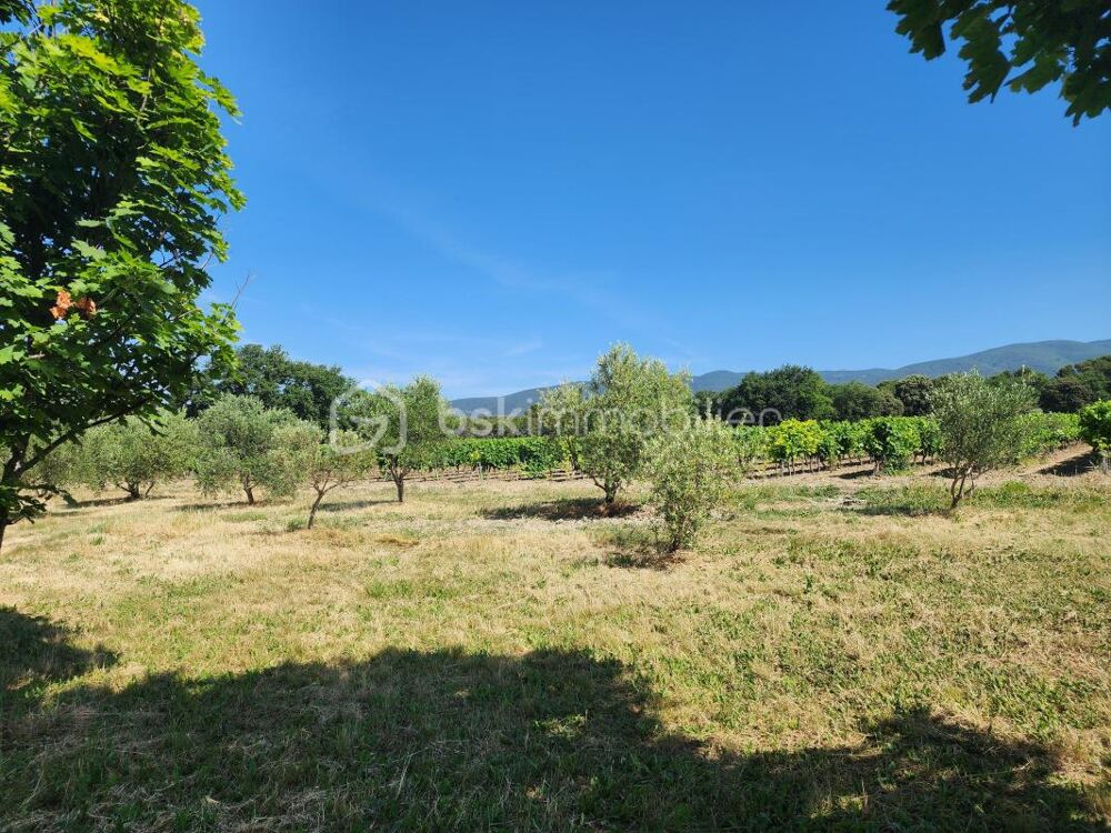 Mas Authentique au Coeur du Luberon sur plus de 2,7 hectares