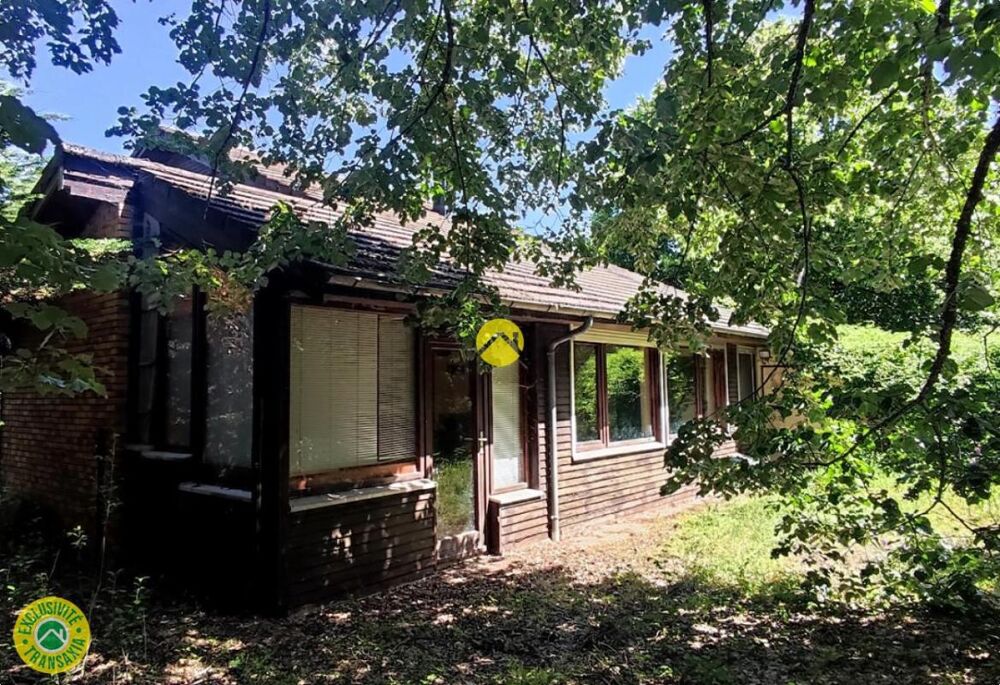 Vente Maison Indépendant avec bois privatif Levet
