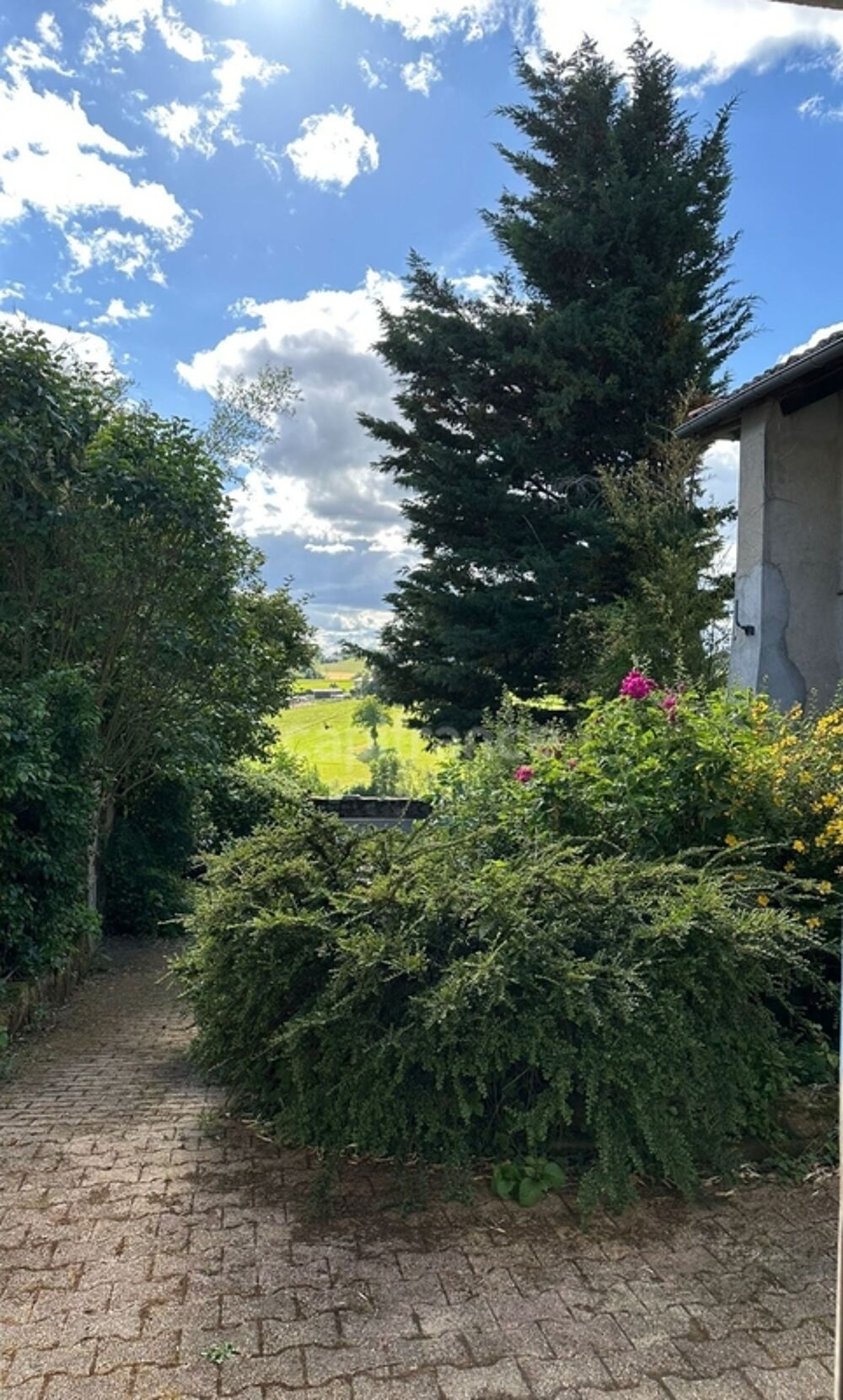 Vente Maison Corps de ferme rénové à vendre 9 pièces 297 m² avec 5 000 m² de terrain SAINT CLEMENT LES PLACES (69) Saint clement les places