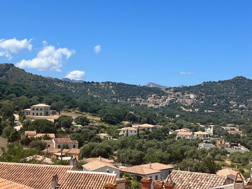 Vente Duplex/Triplex Appartement T3 en duplex à Calenzana Calenzana