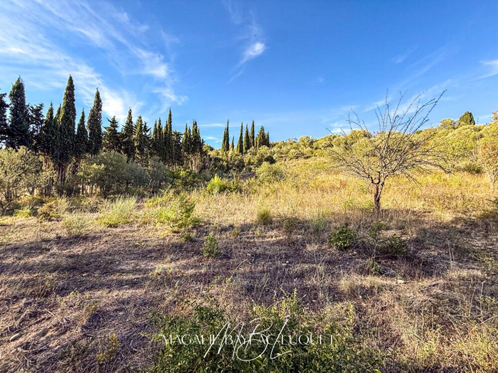 Vente Terrain Terrain constructible de 2 347 m² avec vue imprenable  Limoux Limoux