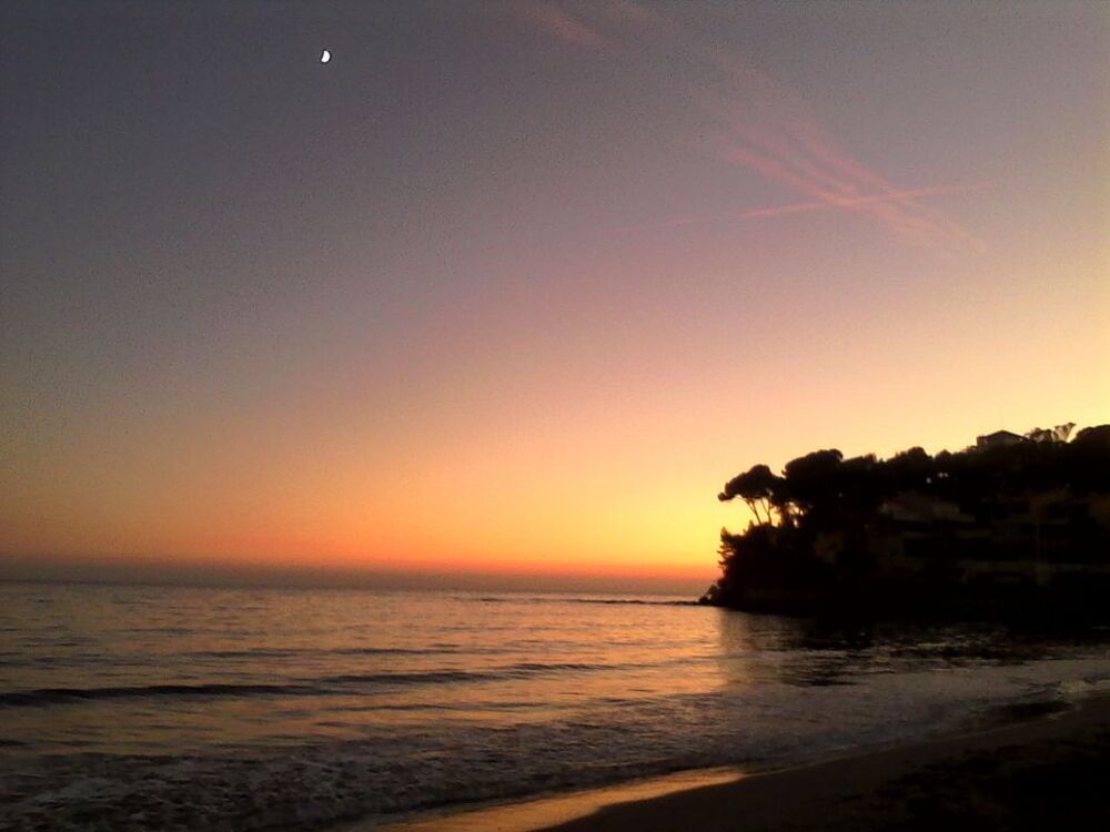 Location Appartement Appartement de 50m2 à louer sur La Seyne-sur-Mer La seyne sur mer