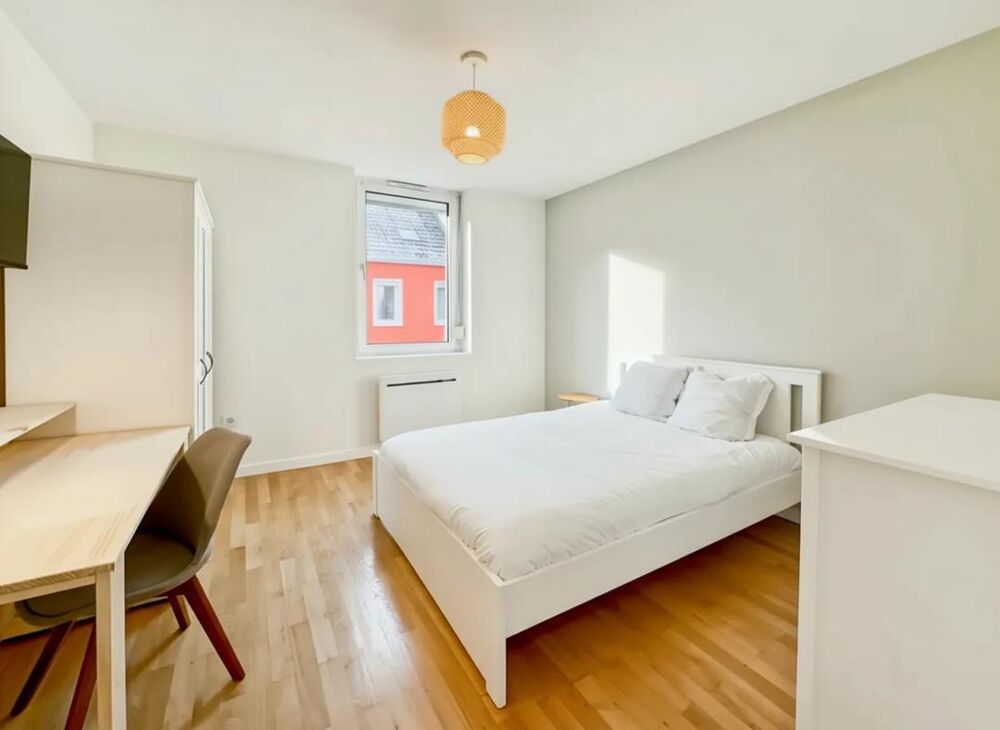 � vendre  Maison Schiltigheim (67300)