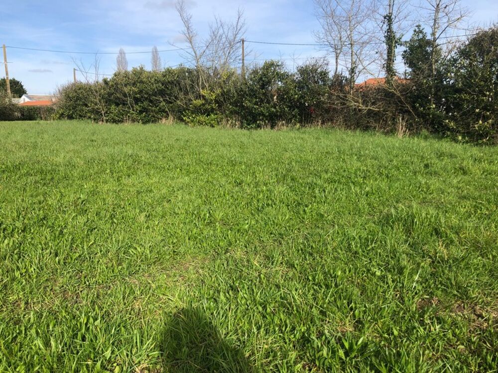 Vente Terrain Terrain 10 045,00 m², dont 2564 m² constructibles sur  SAINT PHILBERT DE GRAND LIEU (44) Saint philbert de grand lieu