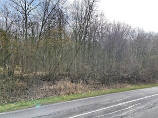  Terrain  vendre 61797 m