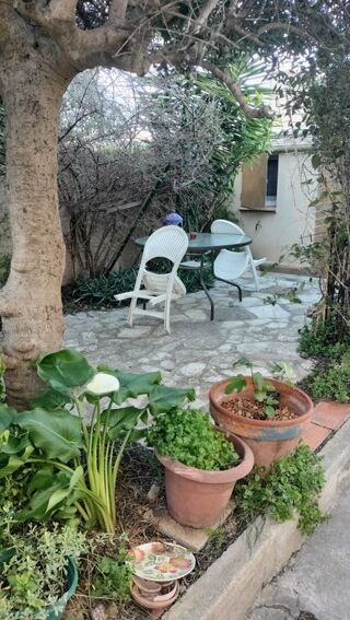  Appartement à louer 1 pièce 18 m²