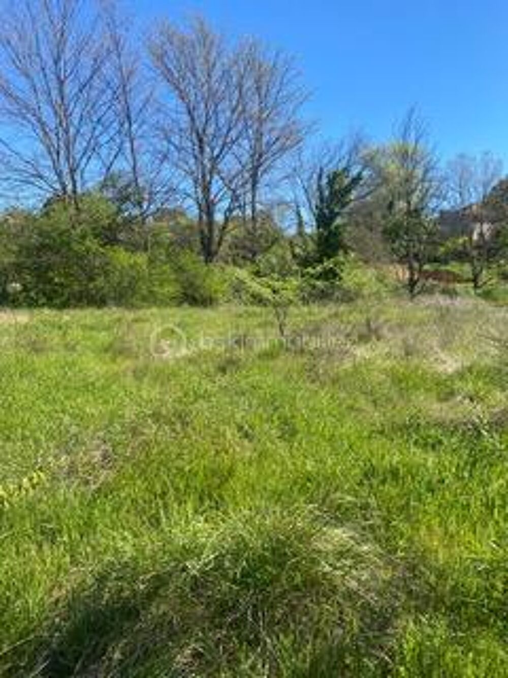 Vente Terrain Terrain constructible de 1200 m² sur 3267 m² Salernes