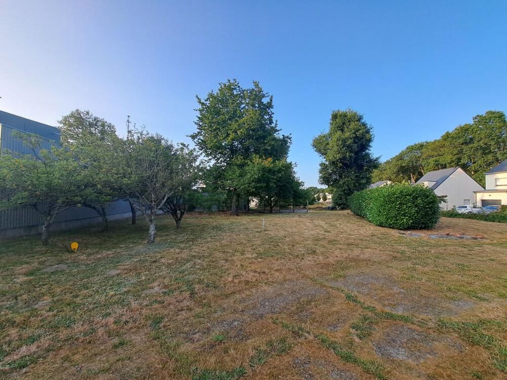 Vente Terrain Terrain Liffre