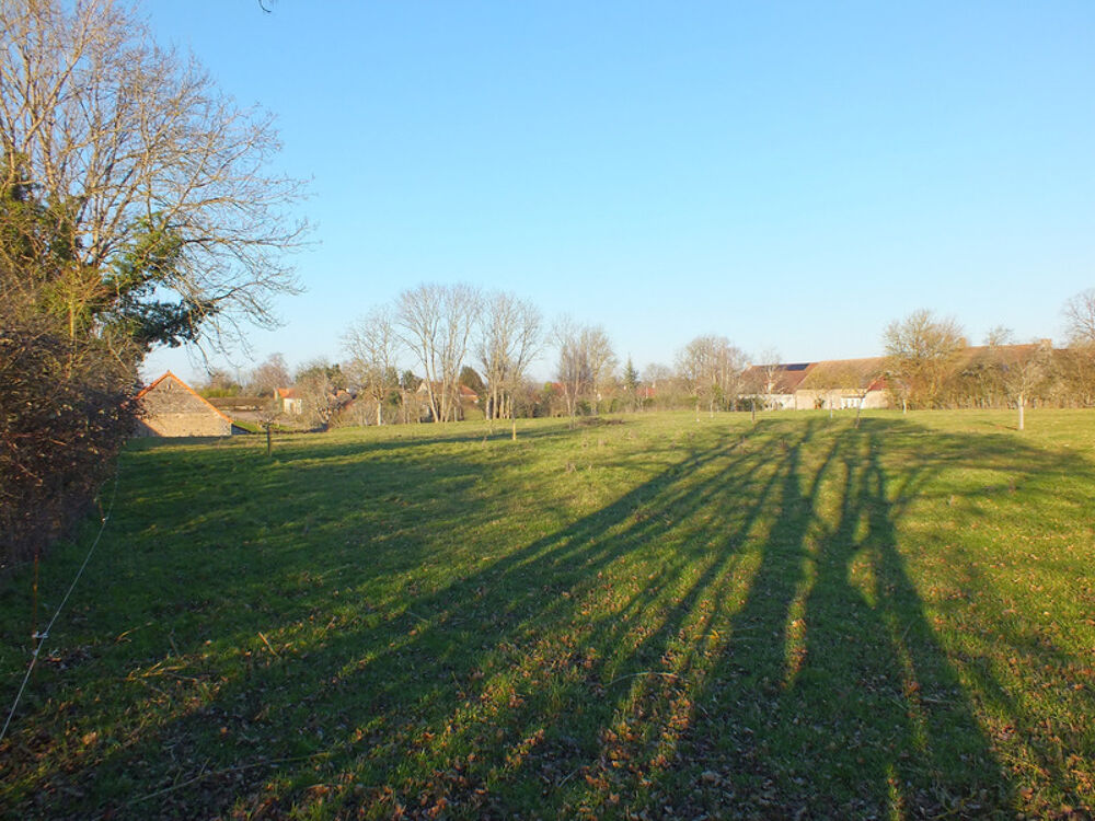 Vente Terrain Dpt Côte d'Or (21), à vendre MUSIGNY terrain - Terrain de 5 990,00 m² Musigny