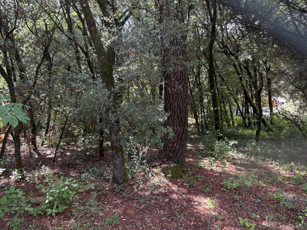 Vente Terrain Terrain à bâtir à vendre 799,00 m² CENDRAS (30)proche d'Ales Cendras