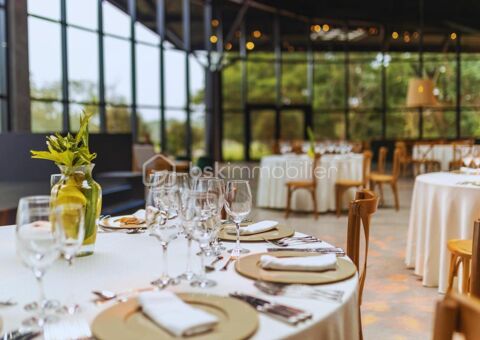 RESTAURANT - PUB -  LIC IV SUR AXE MAJEUR 240000 94000 Creteil