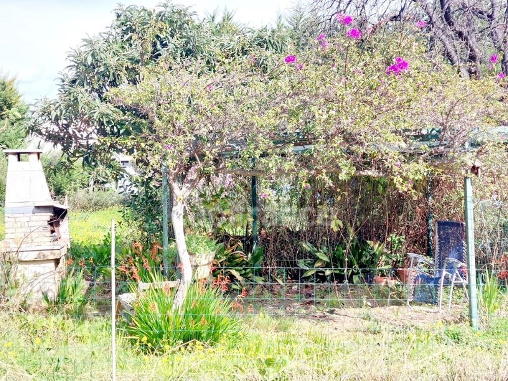 Dpt Corse (20), à vendre SAN NICOLAO maison plain pied avec terrain