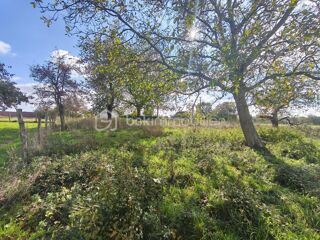  Terrain  vendre 1113 m