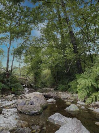  Terrain à vendre 10564 m²