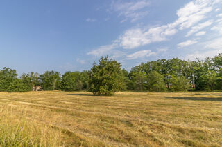  Terrain à vendre 7161 m²