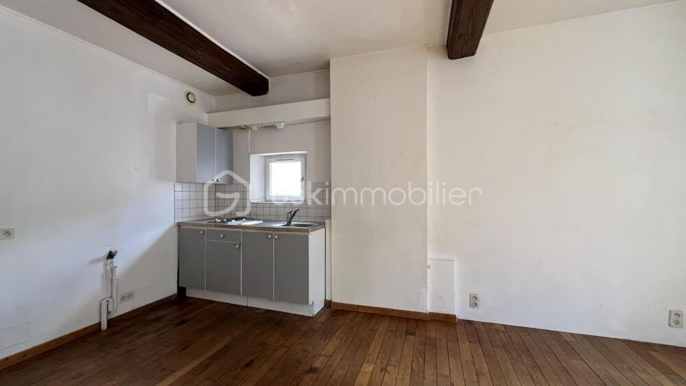 Grand T1 baigné de lumière  Potentiel duplex exceptionnel avec grenier de plus de 30 m²