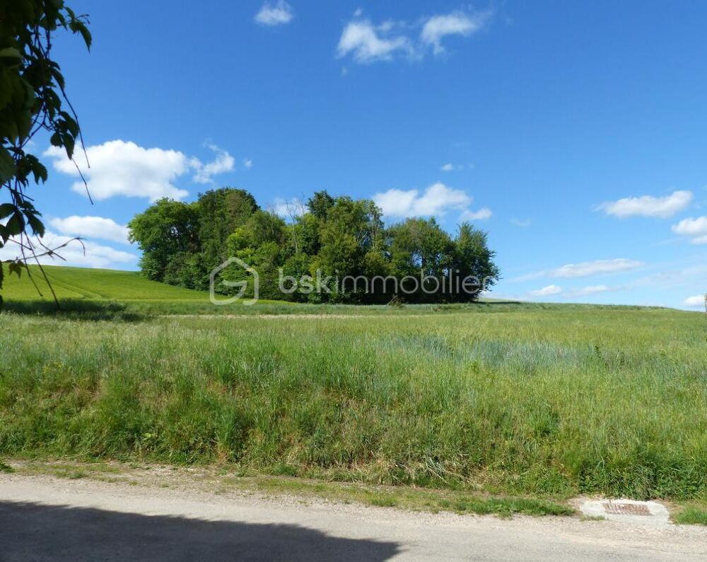 Vente Terrain Terrain de 5 787 m² dont 1 710 m² constructibles Charbuy