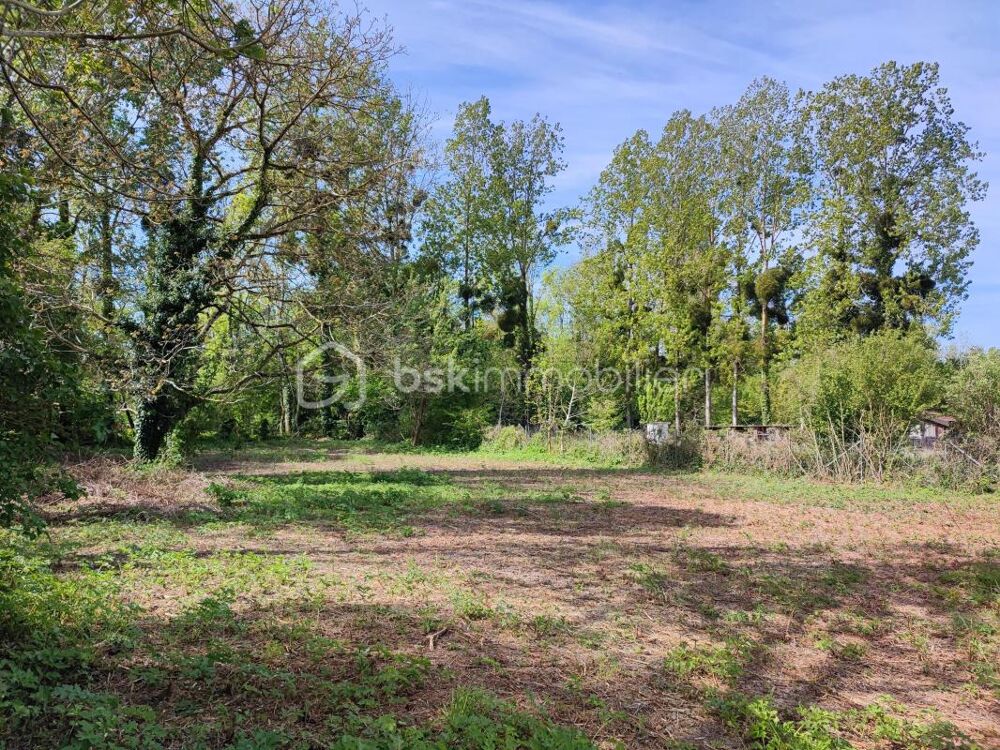 Vente Terrain Terrain constructible de 1960 m² Villeneuve l archeveque