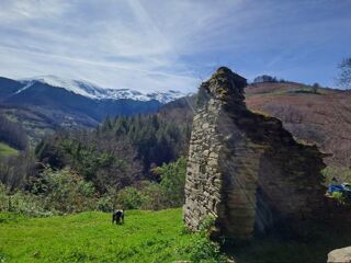  Remise / Grange à vendre 1 pièce 40 m²