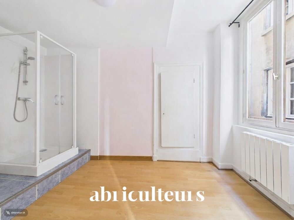 Vente Appartement Petit 2 pièces à fort potentiel en vente à Lyon 1er Lyon 1