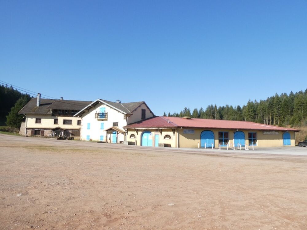Vente Propriété/Château GIRMONT VAL D'AJOL (88) établissement à vendre de 3000m² au sol , mêlant dance et restauration.Terrain 25000m² Girmont val d ajol