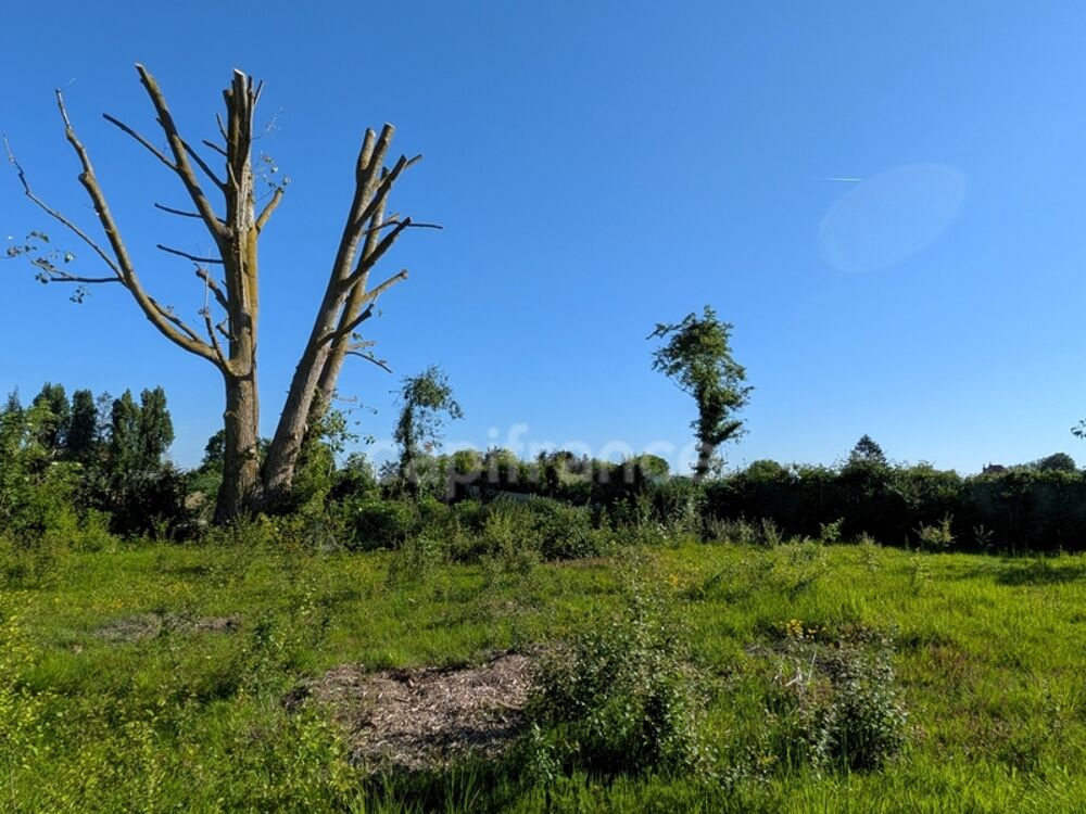 Vente Terrain JOLI TERRAIN AU MONT D HALLUIN LIBRE DE CONSTRUCTEUR Neuville en ferrain