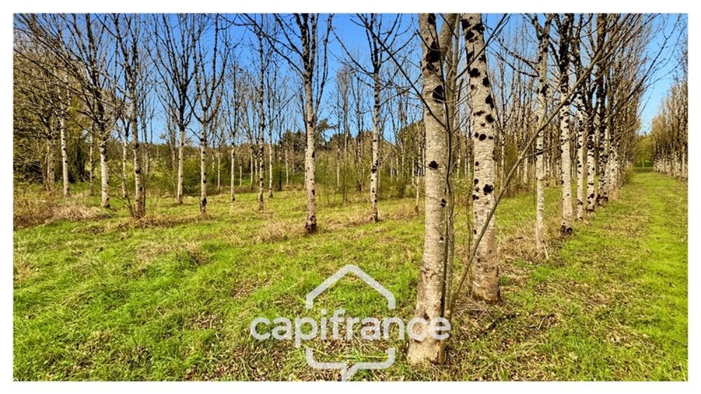 Rare sur le secteur ! Bergerie à rénover avec plus de 4,2 hectares de terrain  Monflanquin