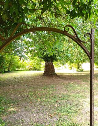  Terrain � vendre 10907 m�