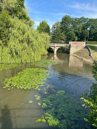  Appartement � vendre 1 pi�ce 80 m�