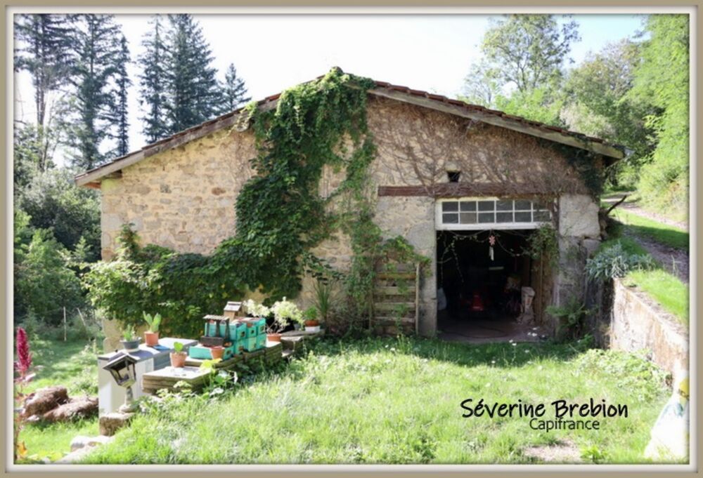 Vente Maison ? Maison rénovée en pierre de 166 m², 4 chambres, vaste séjour, dépendance, assainissement OK, avec ancien moulin et terrain de Saint remy sur durolle