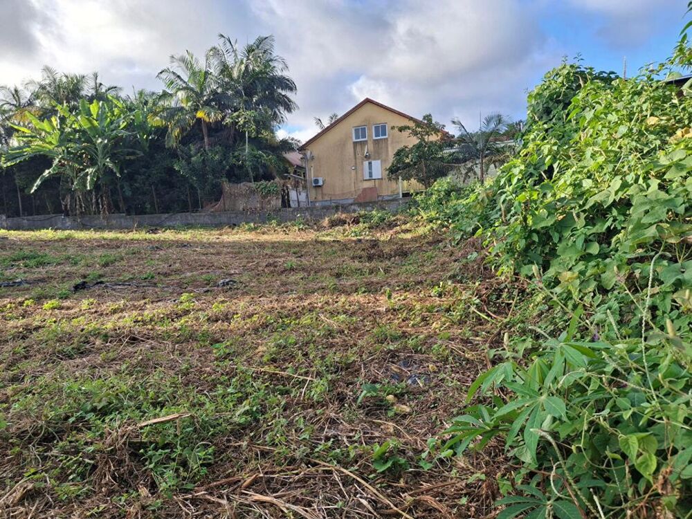 Vente Terrain 97430 secteur 14ème /Pont d'Yves Terrain 800 m2 borné en zone Uc Le tampon