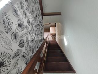  Duplex/triplex � louer 1 pi�ce 19 m�