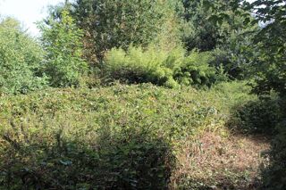  Maison � vendre 3 pi�ces 110 m�