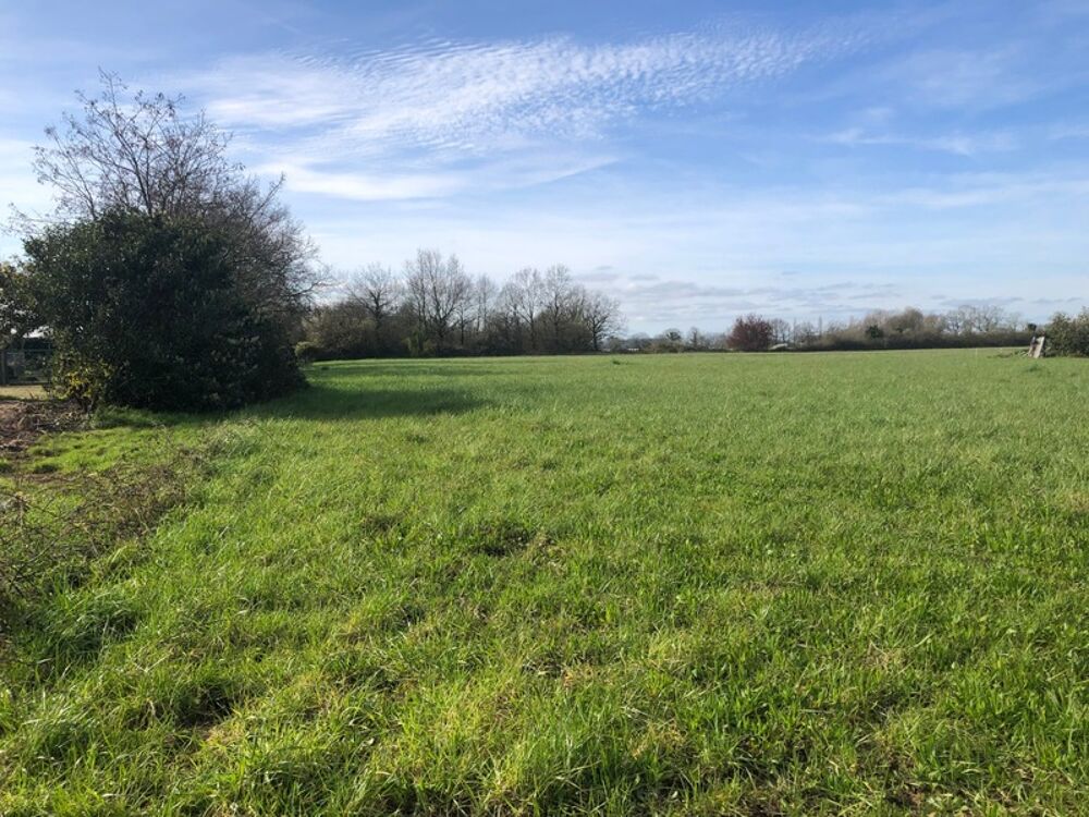 Vente Terrain Terrain 10 045,00 m², dont 2564 m² constructibles sur  SAINT PHILBERT DE GRAND LIEU (44) Saint philbert de grand lieu