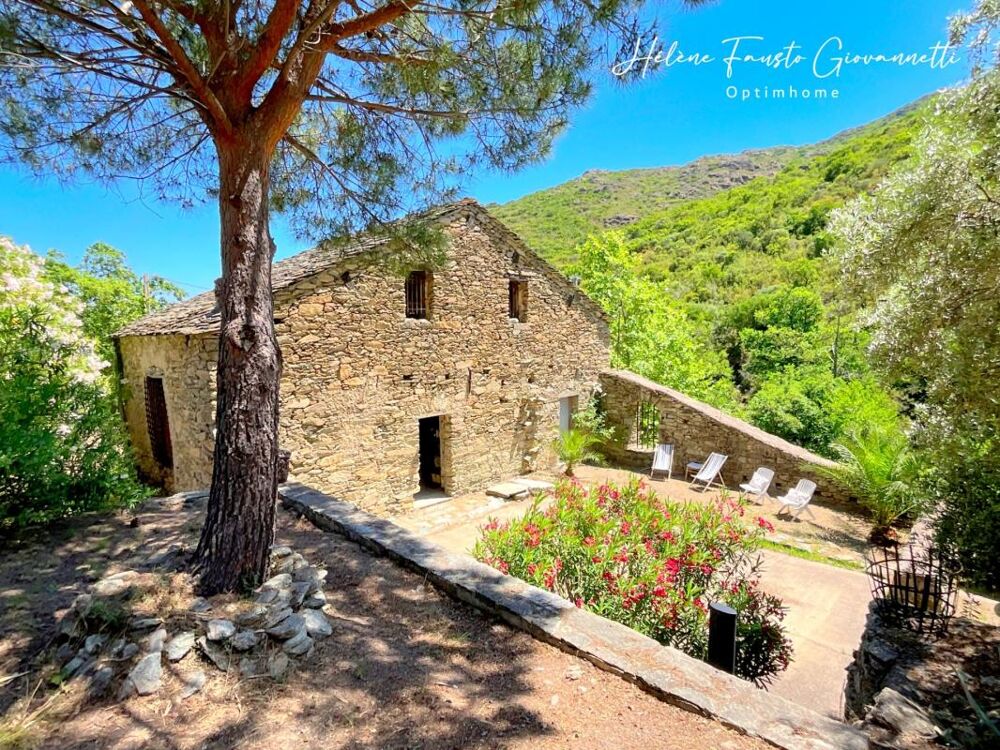 Ancien Moulin en Pierre avec dépendances sur près de 2,3 hectares  Santo-Pietro-di-Tenda