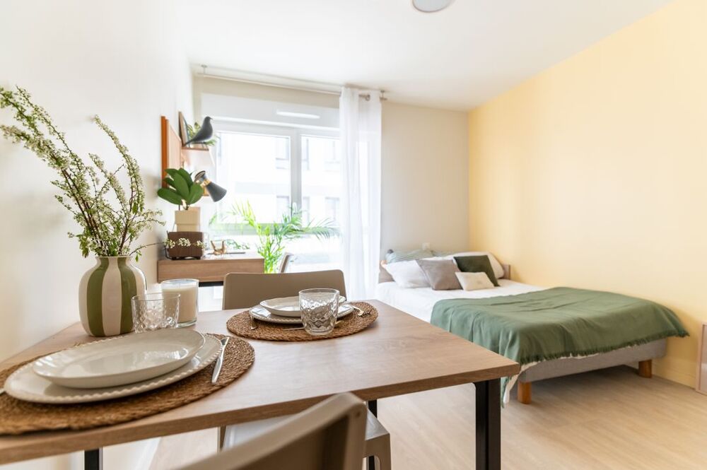 Location Appartement Chambre de 15m2 à louer sur Le Havre Le havre