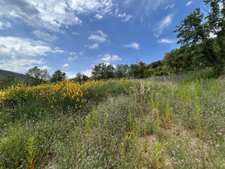  Terrain � vendre 1331 m�