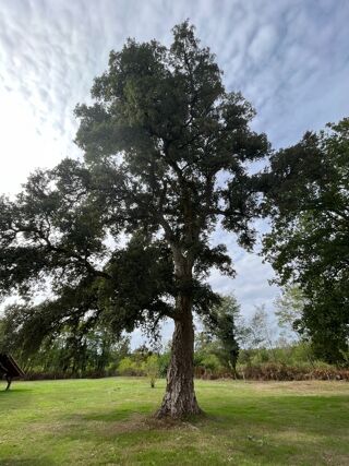  Terrain � vendre 5878 m�