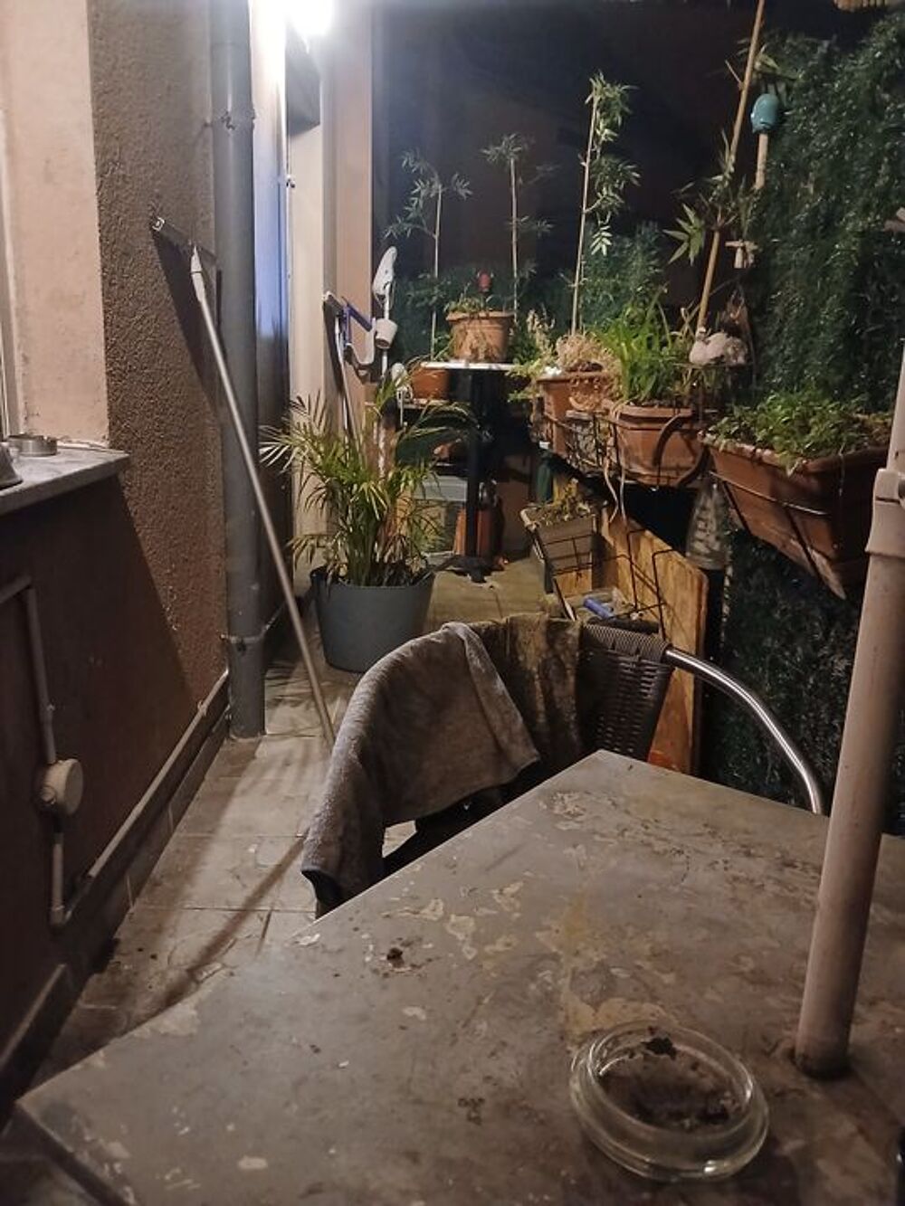 Location Appartement Chambre de 10m2 à louer sur Strasbourg Strasbourg