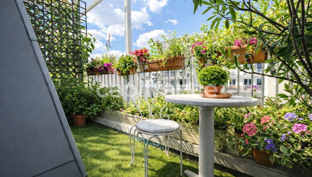 � vendre  Duplex/triplex Paris 15